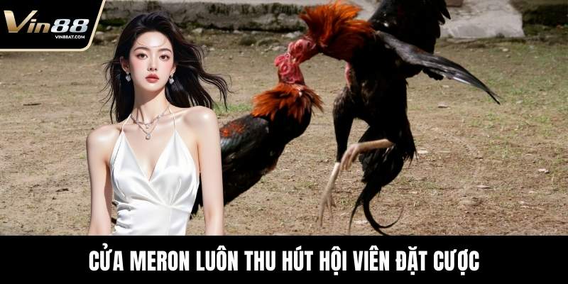 Cửa Meron luôn thu hút hội viên đặt cược