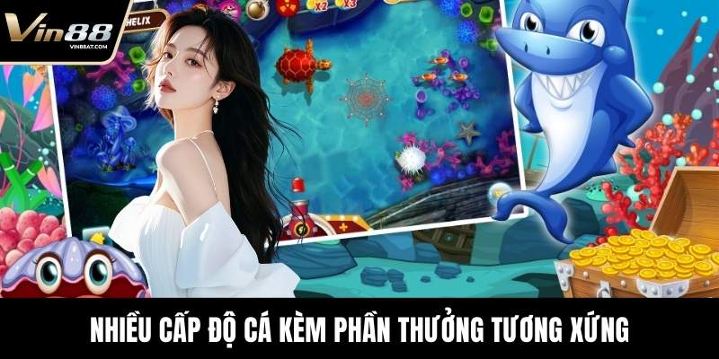 Nhiều cấp độ cá kèm phần thưởng tương xứng