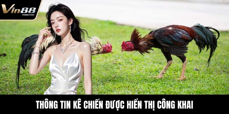 Thông tin kê chiến được hiển thị công khai